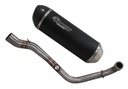 Escape Sport Carbon homologado para: Honda SH 300