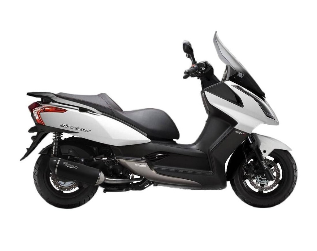 Exhaust Sport Carbon approved for Kawasaki J300 &amp; Kymco Down Town 300 - Superdink 300i